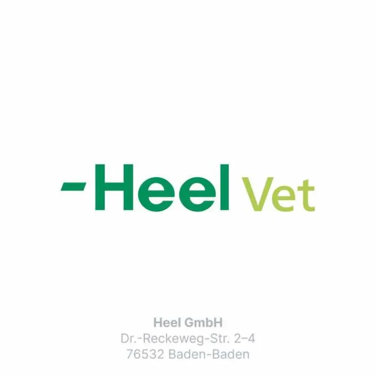 Traumeel LT ad us.vet.Tabletten, 250 St