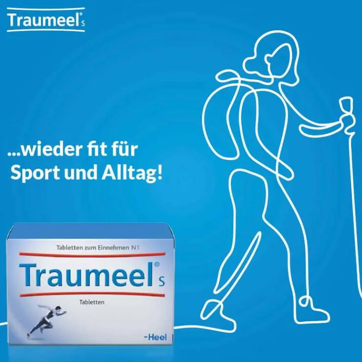 Traumeel S Tabletten, 250 St