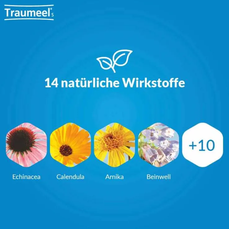 Traumeel S Tabletten, 50 St