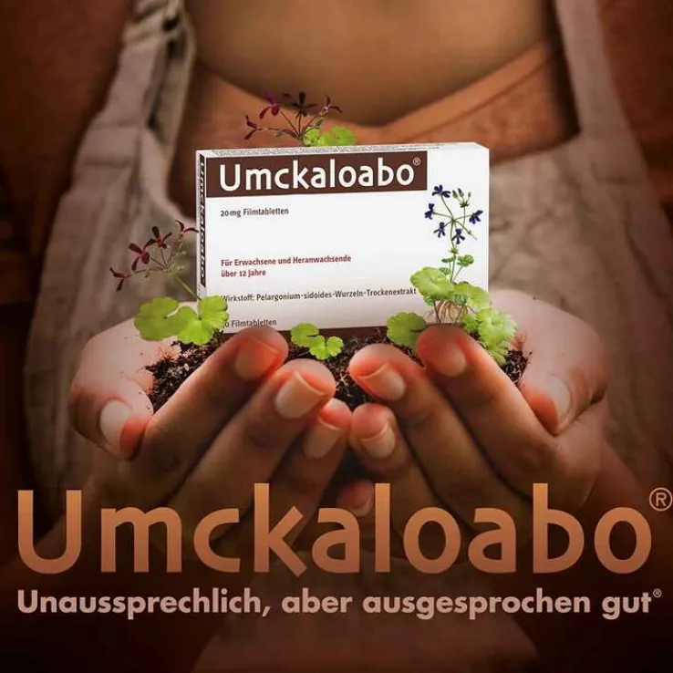 Umckaloabo® 20 mg Filmtabletten, 15 St