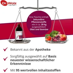 Vitalkomplex Dr. Wolz, 500 ml