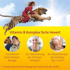 Vitamin B Komplex forte Hevert Tabletten, 100 St