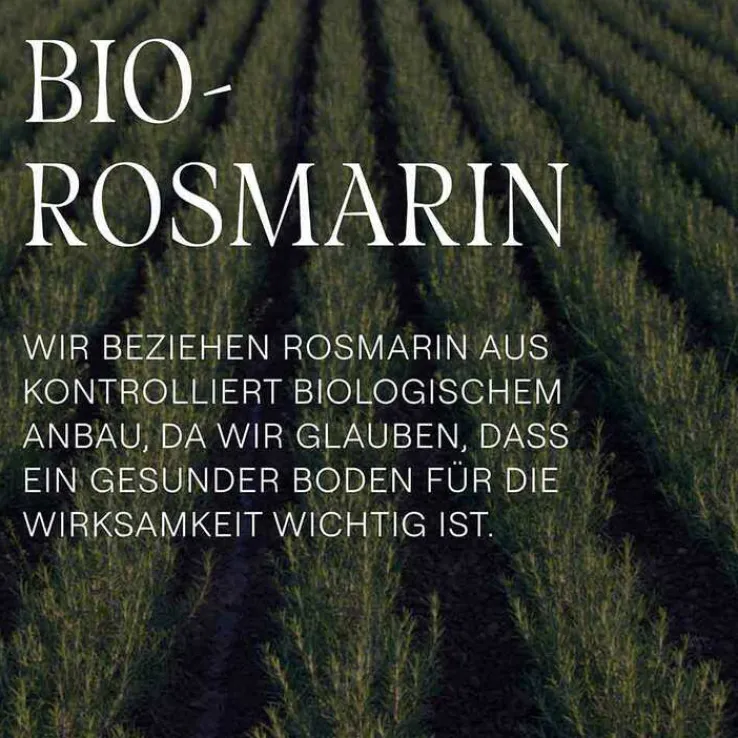 Weleda Rosmarin Revitalising Shampoo, 250 ml